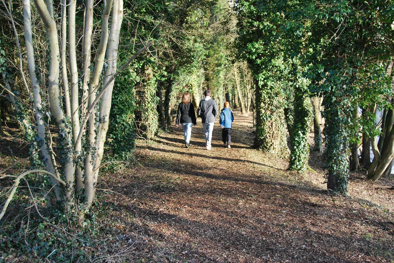 2 women walking on dirt road between trees during daytime